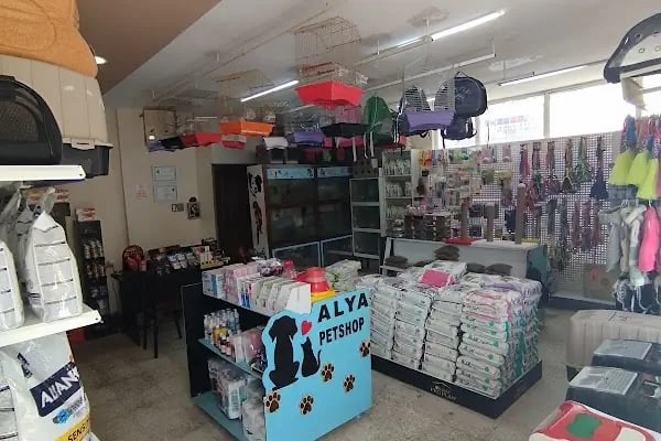 Alya Petshop - Resim 9