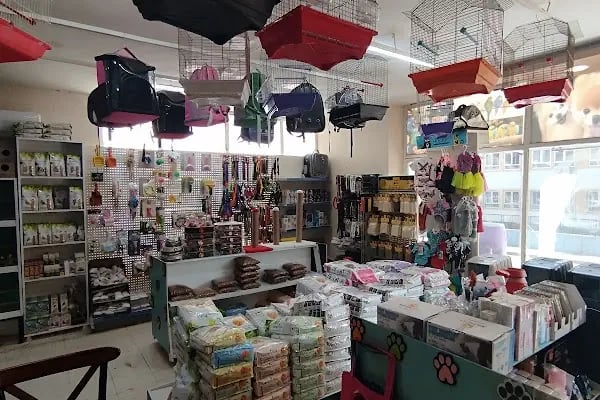 Alya Petshop - Resim 2