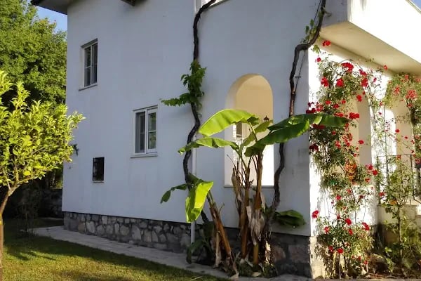Botanik Gardens - Resim 12