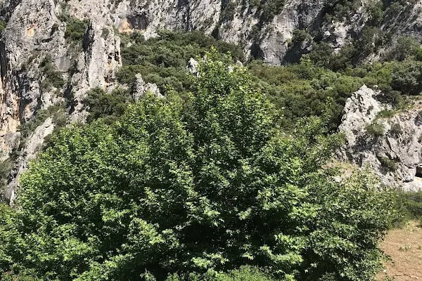 Gökdere Kanyonu - Resim 12