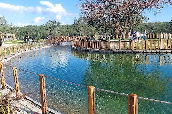 Çerkezköy kent ormanı - Resim 16