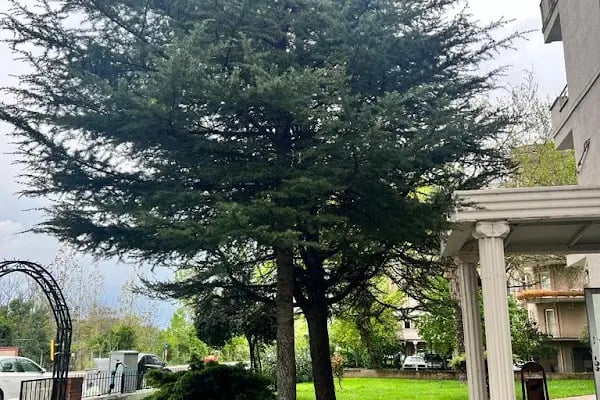 Klinik Psikolog Hafsanur Şenyuva Gök - Resim 3