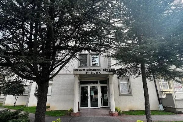 Klinik Psikolog Hafsanur Şenyuva Gök - Resim 4
