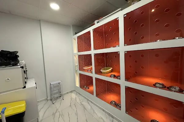 Panem Veteriner Kliniği - Resim 12
