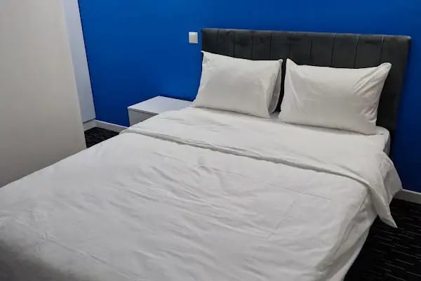 ANI PARK HOTEL - Resim 2