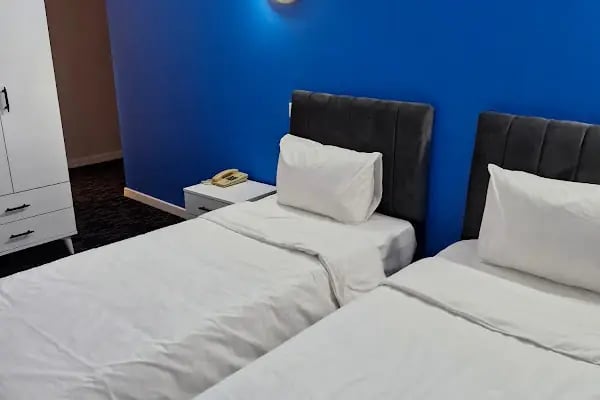 ANI PARK HOTEL - Resim 4