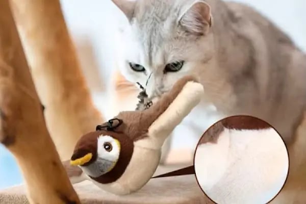 GÜLMİRZA PETSHOP - Resim 11