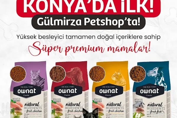 GÜLMİRZA PETSHOP - Resim 18