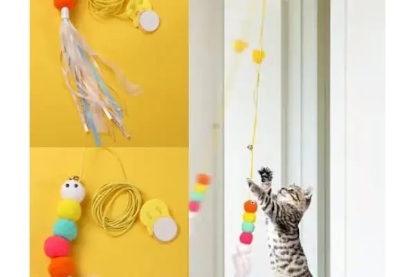 GÜLMİRZA PETSHOP - Resim 14