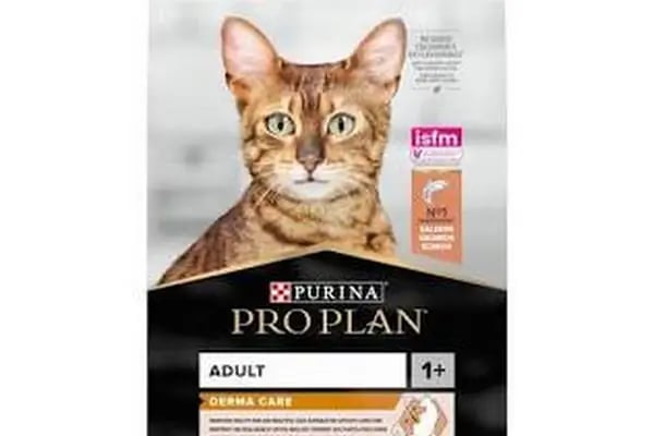 GÜLMİRZA PETSHOP - Resim 13
