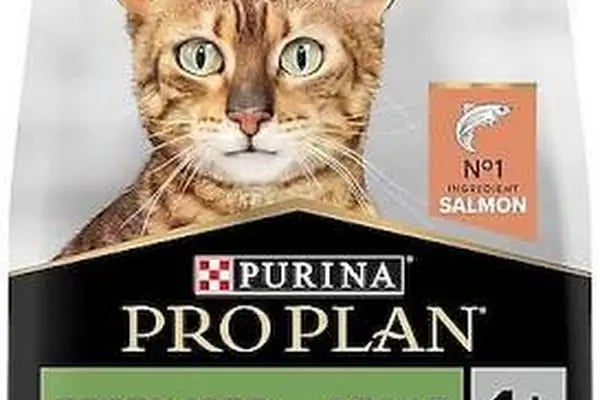 GÜLMİRZA PETSHOP - Resim 5