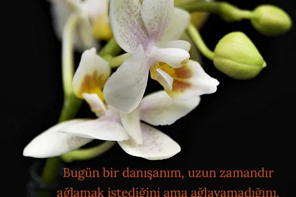 Alanya Uzman Klinik Psikolog ve Aile Danışmanı Gülderen AKDAĞ - Resim 12
