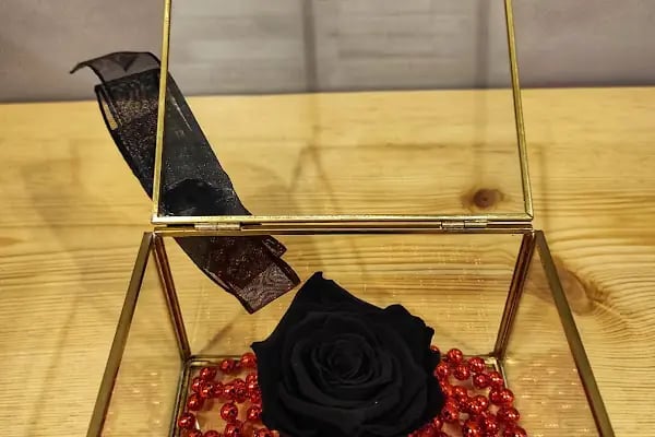 Armine Çiçek - Resim 6