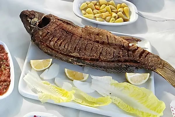 ELİT BALIK RESTAURANT - DÜĞÜN SALONU - Resim 6