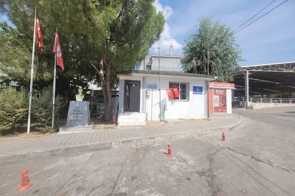 Atatürk Mahallesi Muhtarlığı - Resim 3