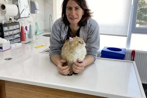 YARIMADA Veteriner Kliniği - Resim 5