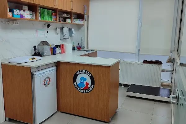 YARIMADA Veteriner Kliniği - Resim 13