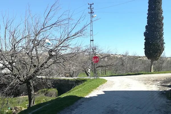 Kızılcakent Köyü Muhtarlığı - Resim 9