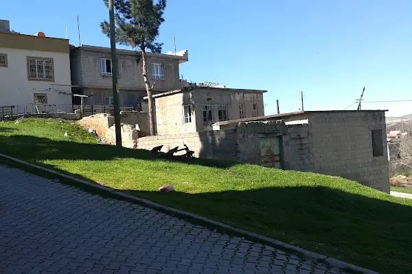 Kızılcakent Köyü Muhtarlığı - Resim 4