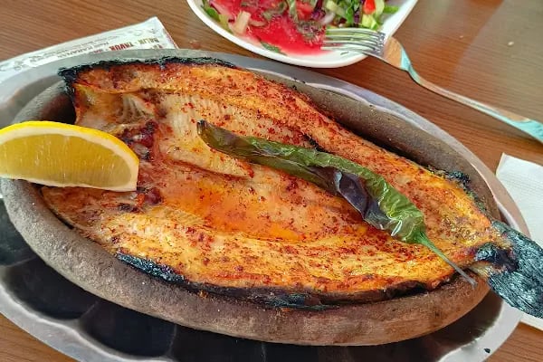 Pehlivan Alabalik Tesisleri - Resim 8