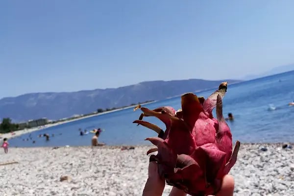 taşdibi plajı - Resim 15