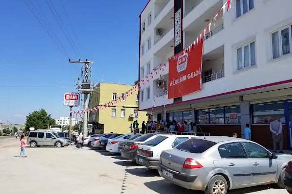 Bim Çınar - Resim 2