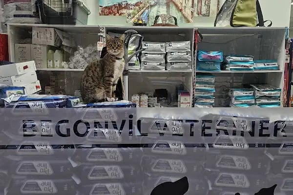 BEGONVİL VETERİNER KLİNİĞİ - Resim 12