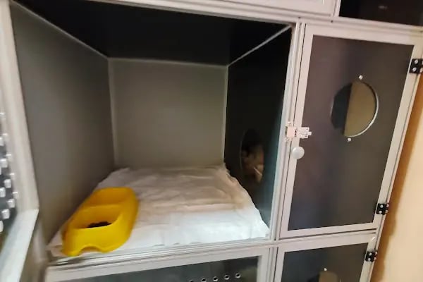 Vetto Veteriner Kliniği - Resim 11