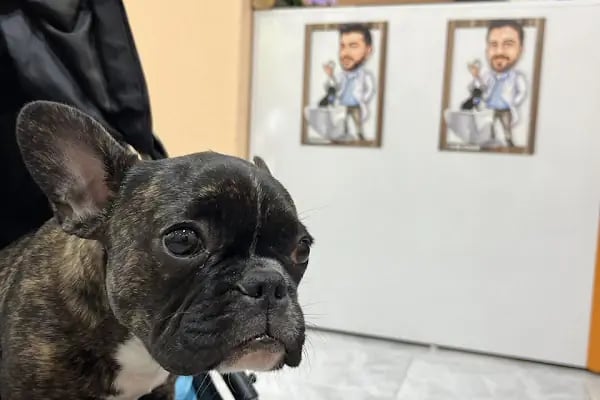 Vetto Veteriner Kliniği - Resim 7