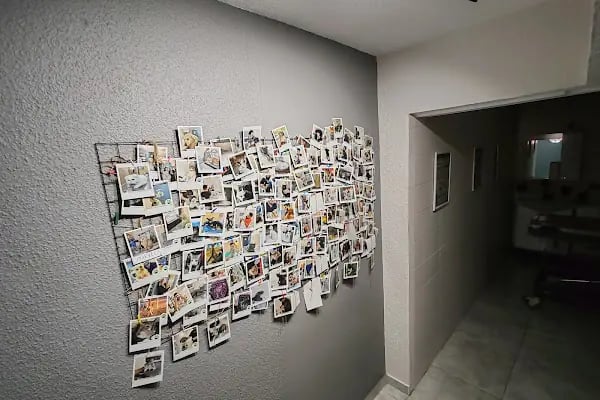 Vetto Veteriner Kliniği - Resim 4