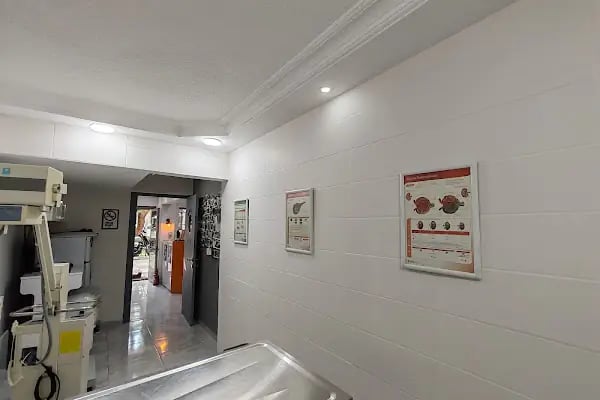 Vetto Veteriner Kliniği - Resim 18