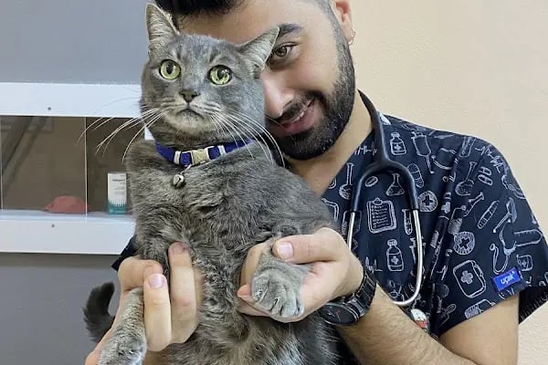 Vetto Veteriner Kliniği - Resim 19
