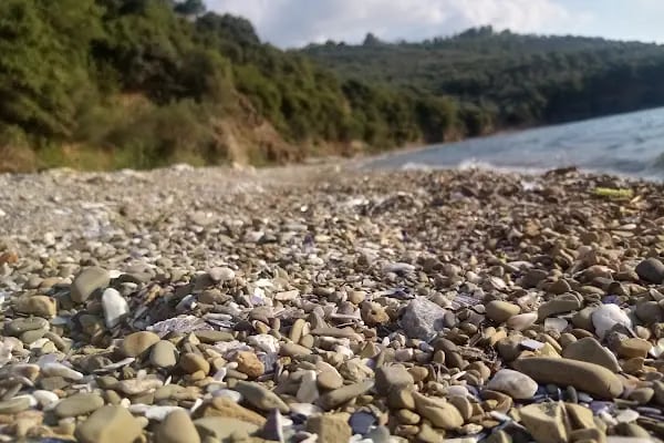 Harmankaya Villaları - Resim 17