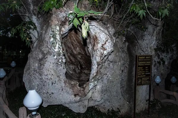 Gökkuşağı Oyun Parkı &amp; Parti Evi - Resim 17