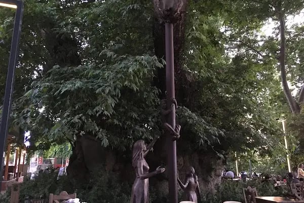 Gökkuşağı Oyun Parkı &amp; Parti Evi - Resim 13