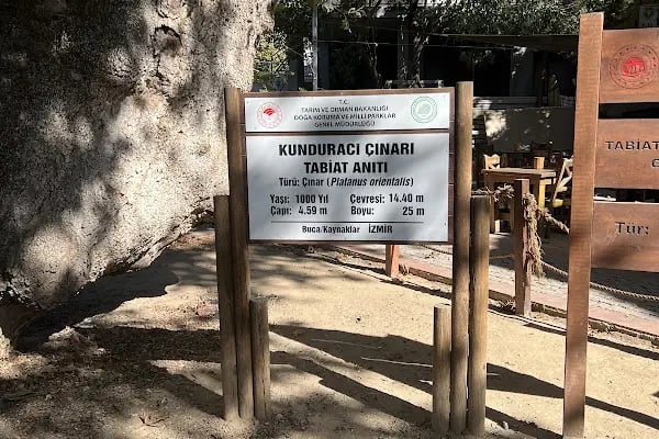 Gökkuşağı Oyun Parkı &amp; Parti Evi - Resim 4