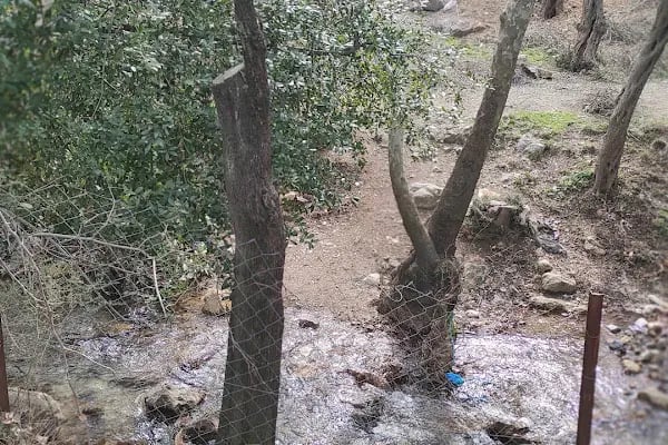 Gökkuşağı Oyun Parkı &amp; Parti Evi - Resim 15