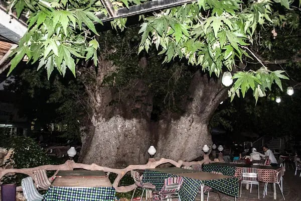 Gökkuşağı Oyun Parkı &amp; Parti Evi - Resim 2