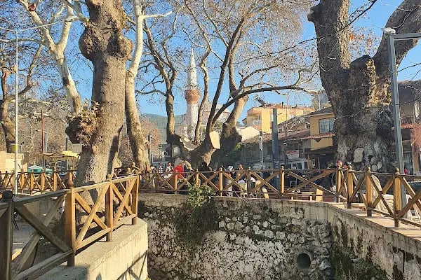 Gökkuşağı Oyun Parkı &amp; Parti Evi - Resim 3