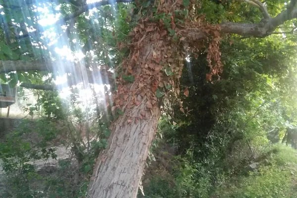 Gökkuşağı Oyun Parkı &amp; Parti Evi - Resim 18