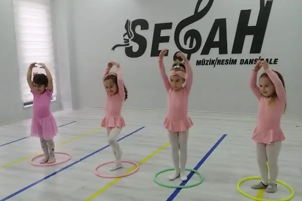 T.C. MEB ÖZEL SEGAH SANAT MERKEZİ - Resim 9
