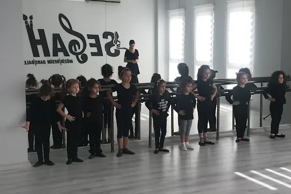 T.C. MEB ÖZEL SEGAH SANAT MERKEZİ - Resim 10