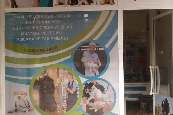 Meşe Veteriner Klinik - Resim 2