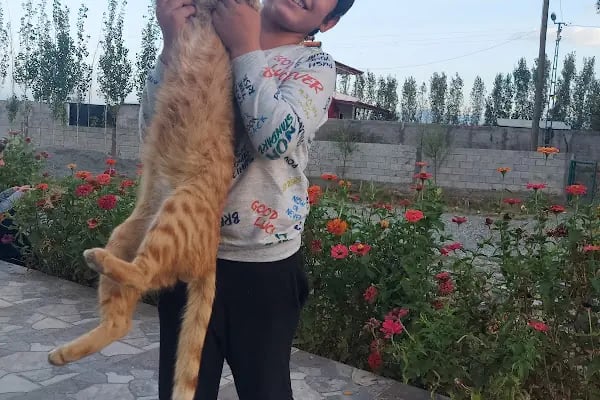Çerkezköy Empati Veteriner Kliniği - Resim 14