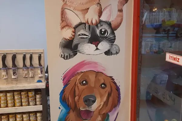 En Yakın Pet Market - Resim 6