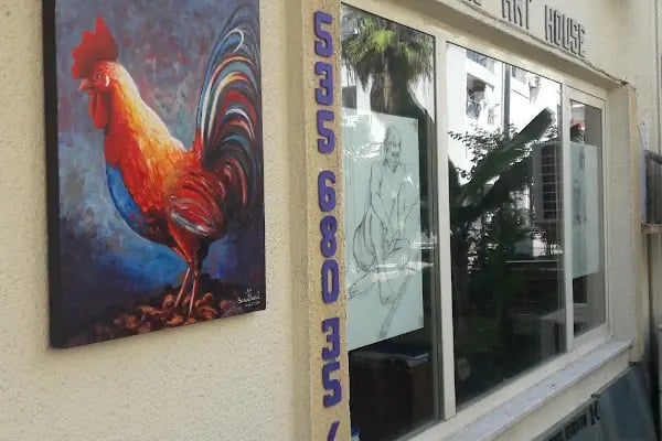 Ünsal Güzel Sanatlar Atölyesi - Resim 7