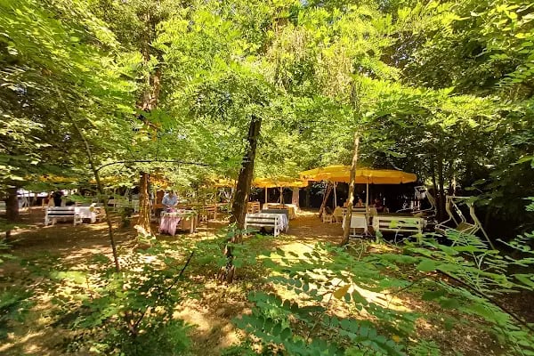 Alaşara Restaurant - Resim 19