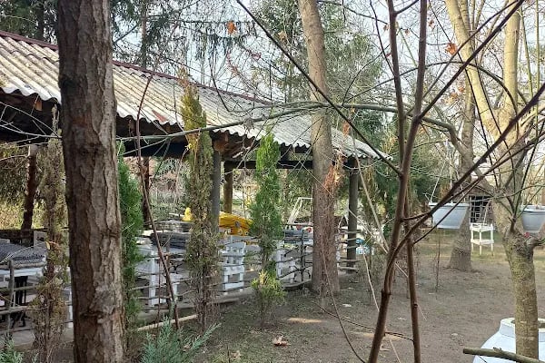 Alaşara Restaurant - Resim 6