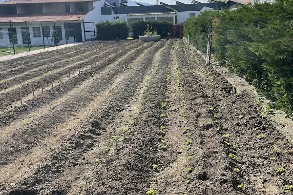 Dream Farm Pansiyon - Resim 1
