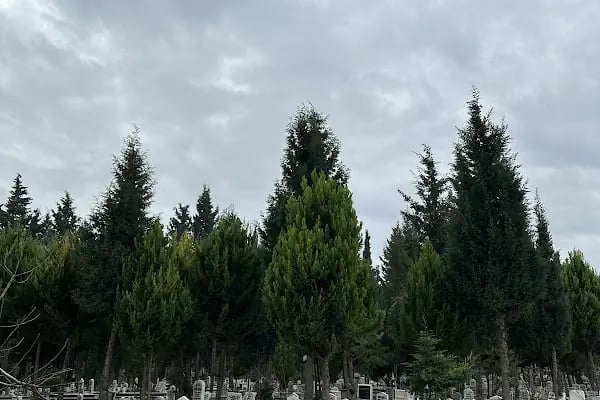 Sarnıç Mezarlığı - Resim 2